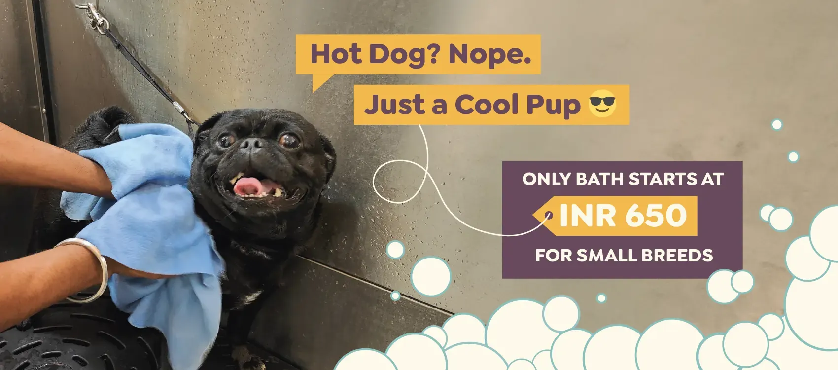 Warm Water Bath and Oil Massage for Dogs starting at INR 850 at Nose to Tails